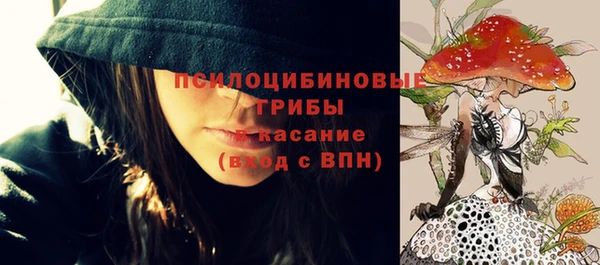 бошки Сатка