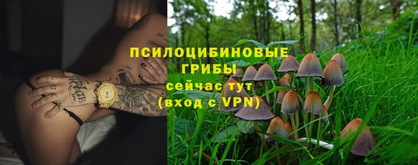 стафф Абаза