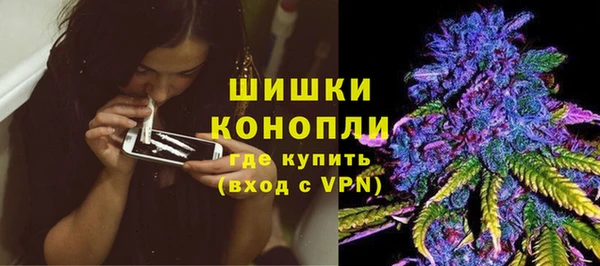бошки Сатка